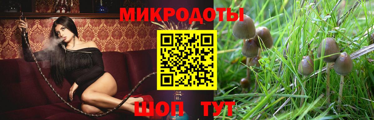Галлюциногенные грибы Magic Shrooms Чапаевск